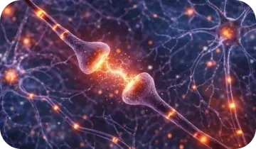 Illustration of two glowing nerve cells passing a bright signal across a gap